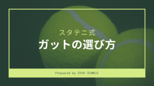 【創作】【ポリエステル・ナイロンの選び方】性能別テニスガットランキング